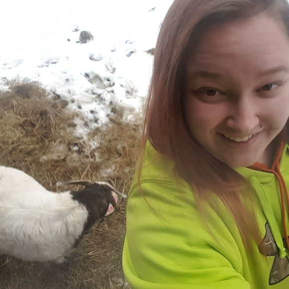 Meet your Posher, Cassie - Picture 1 of 1